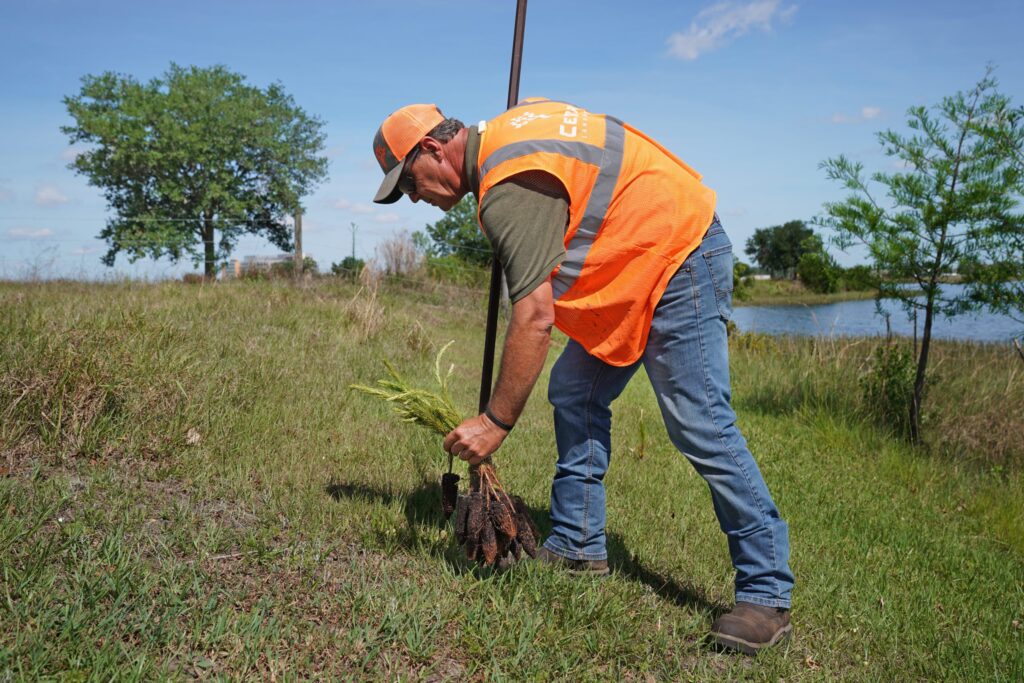 Planting Seeds for Students