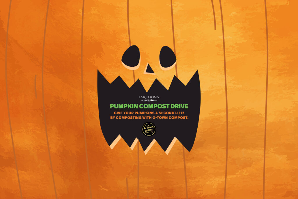 26 LN PumpkinCarving. v2 App Website
